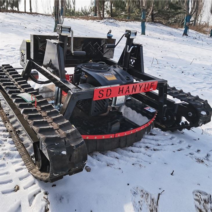 Robotic Lawn Mower